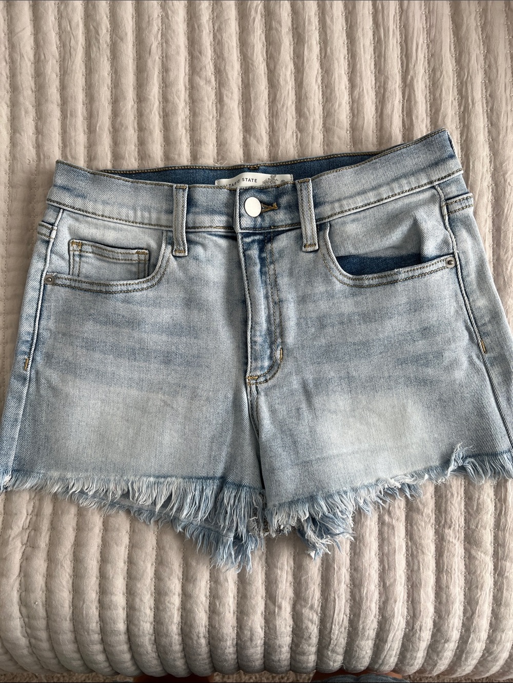 Altar’d State Light Blue Frayed Hem Denim Shorts